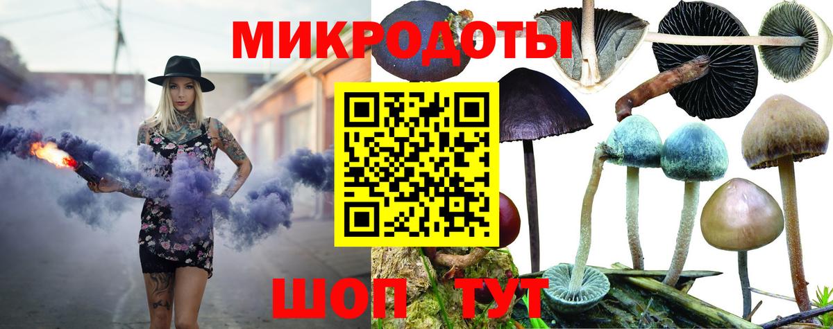 Елец  наркотики  Вход с VPN  Псилоцибиновые грибы мухоморы 