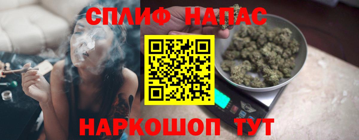 Бошки Шишки семена Елец
